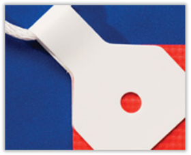 Show details for Regular Banner Ups Picture of Regular Banner Ups