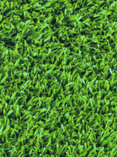 Picture of ThermoFlex FASHION Pattern - Grass