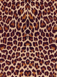 Picture of ThermoFlex FASHION Pattern - Leopard