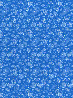 Picture of ThermoFlex FASHION Pattern - Blue Bandana