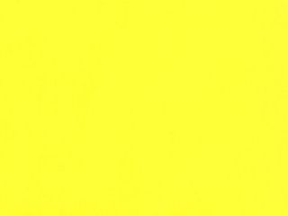 Picture of 20" ThermoFlex Plus Bright Lemon-9473