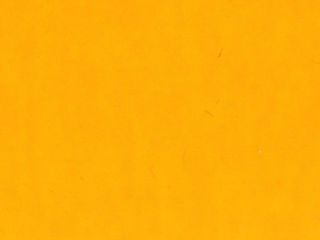TFT-Neon Orange 12" - 14942